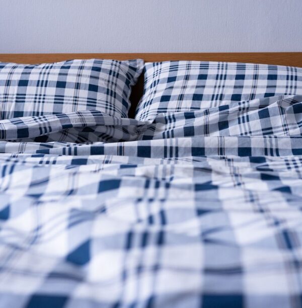 Blue Check Bedsheet