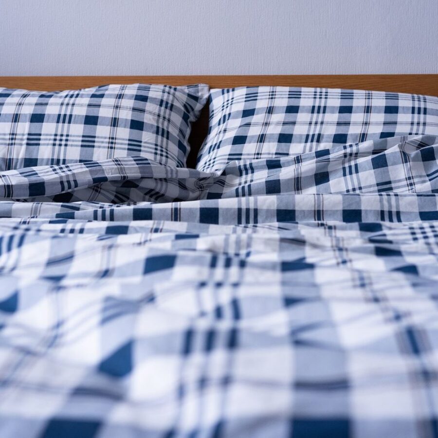 Blue Check Bedsheet