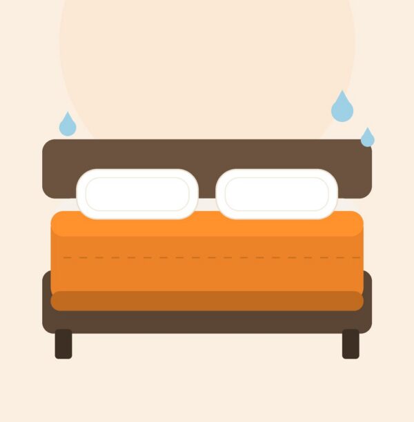 Orange Morning Bedsheet