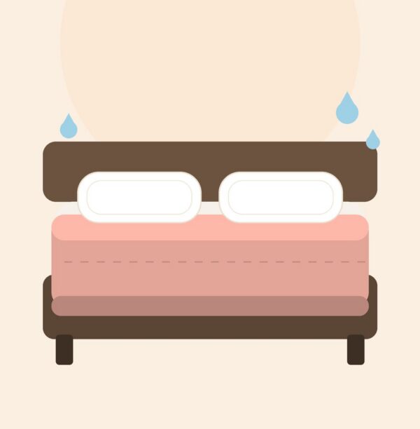 Rose Blush Bedsheet