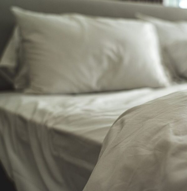 Sage Green Bedsheet